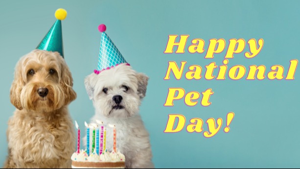 Celebrating National Pet Day with Essential Apps: A Guide for Every Pet Parent