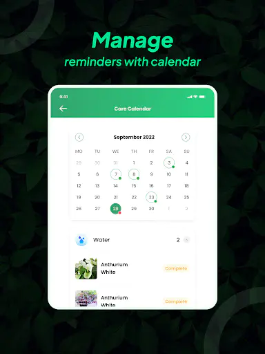 Screenshot 11