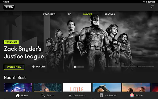 Screenshot 12