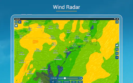Screenshot 19